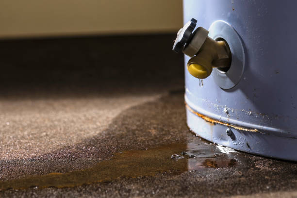 Water damage restoration insurance claims in Ravensworth, VA