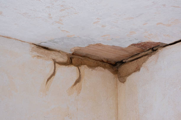 Best Professional water damage repair  in Ravensworth, VA