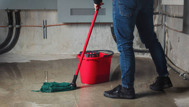 Best Sewage cleanup and water damage restoration  in Ravensworth, VA