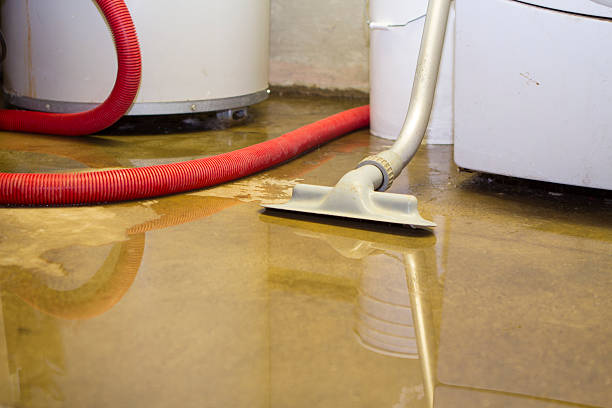 Best Basement water damage restoration  in Ravensworth, VA