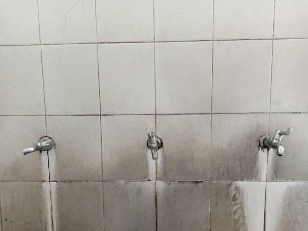 Best Flood restoration services  in Ravensworth, VA