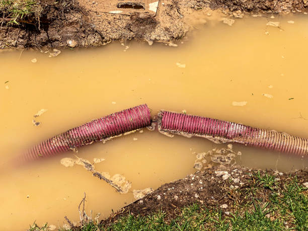 Professional Water damage restoration in Ravensworth, VA